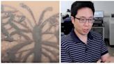 South Korean researchers develop nanotech tattoos that monitor your health