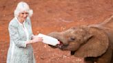 Queen Camilla's old school boots are a smash hit as she nails outdoorsy chic in Kenya