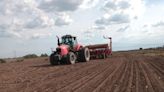 Aumenta la superficie de siembra de trigo en el centro norte santafesino, mientras se mantiene en Córdoba