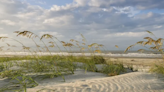 Final undeveloped oceanfront land on Kiawah Island now for sale for $39M. Take a look