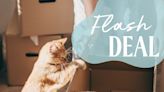 These Hidden Gem Amazon Pet Day Deals Are Actually The Best...Only Have Today To Shop Them - E! Online