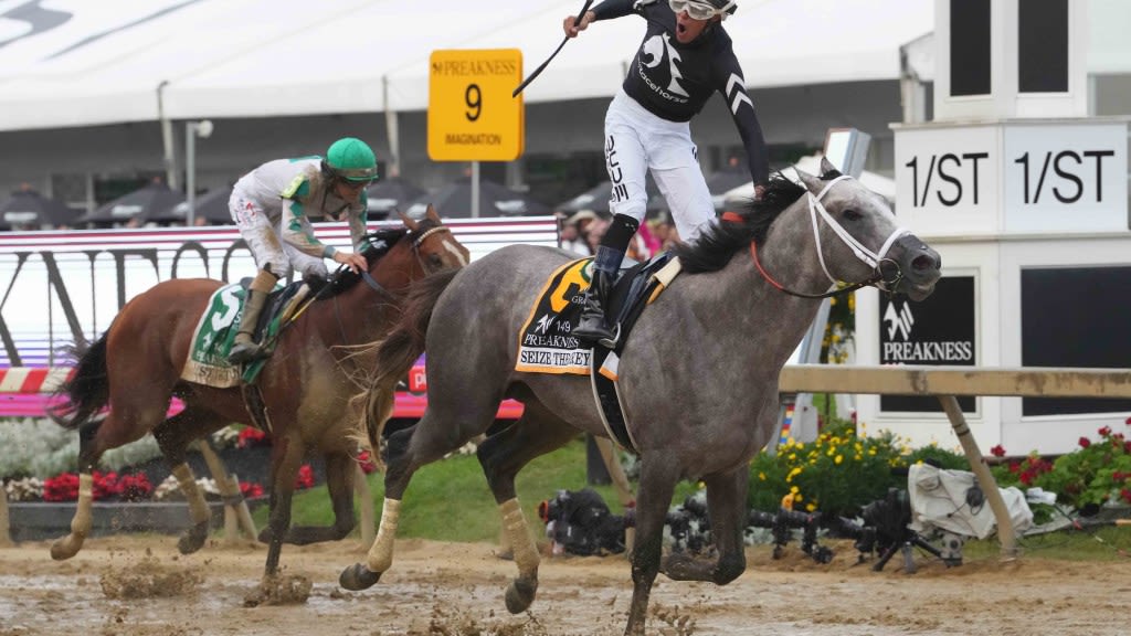 Preakness winner Seize The Grey will run the Belmont Stakes, Mystik Dan undecided