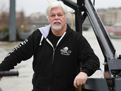 French icon Bardot lashes out at Japan over arrest of anti-whaling activist Paul Watson