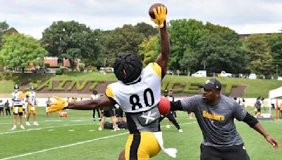 Steelers A to Z: Is expanded role in future of 2nd year tight end Darnell Washington?