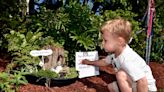 Springfield Garden Club invites all on ‘magical’ garden tour