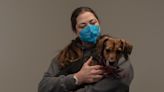 1,000 Dogs Are Put Down Every Day. These Trainers Are Trying to Save Them