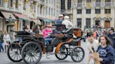 Brussels Pivots From Horse-Drawn Carriages to Electric