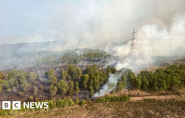 In pictures: Wildfire-hit Corrimony Nature Reserve a year on