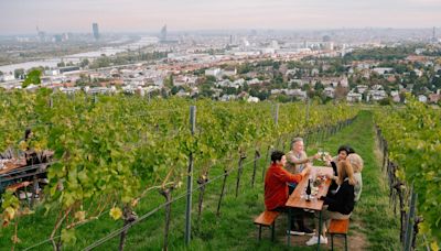 The 'world's most liveable city' is an unsung beauty with its own vineyards