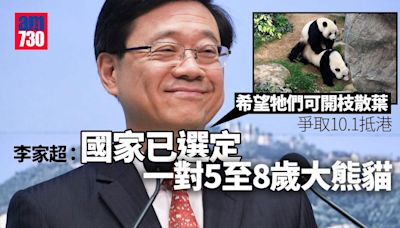 李家超：選定一對5至8歲大熊貓 爭取10.1抵港冀開枝散葉 | am730