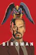 Birdman (film)