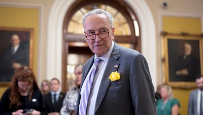 Schumer: McConnell ‘should have had the courage not to show up’ to Trump meeting