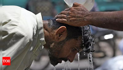 Pakistan's Karachi reels under hottest period since 2015 - Times of India