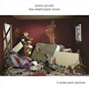 Destroyed Room: B-Sides and Rarities