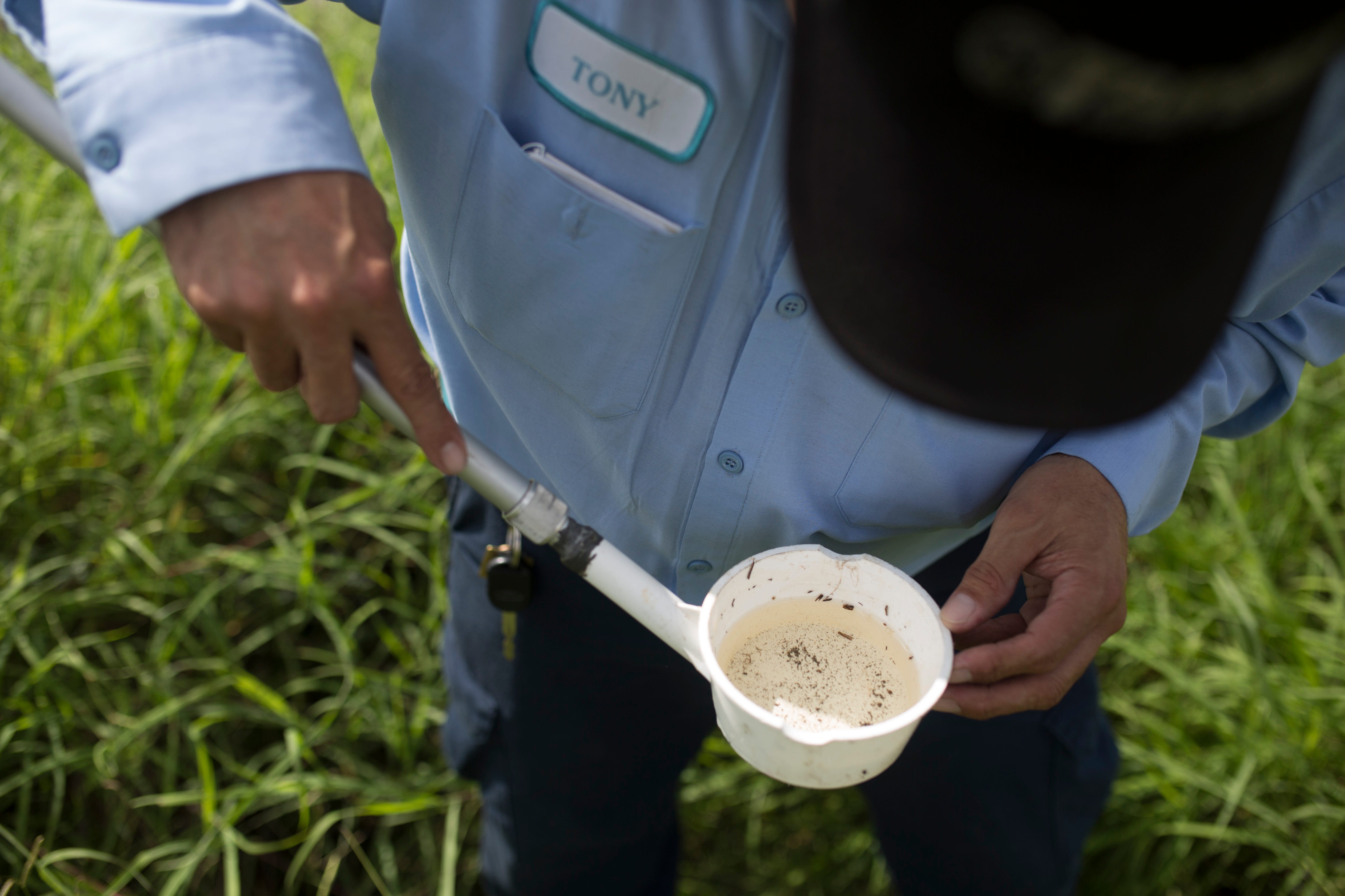 Mosquitoes carrying West Nile virus found locally