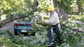 Extreme temperatures in Boise cause an unexpected hazard: ‘dangerous’ falling tree limbs