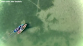 WATCH: Kayakers spook small shark in Dunedin