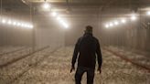 Safety Net: A flock of chickens, held for ransom — Growing cyberattacks on Canada's food system threaten disaster