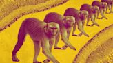 Science behind cloning monkeys is helping advance medical research