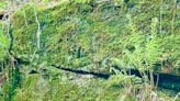 Waterfalls and sandstone at Sycamore Land Trust's Canyon Forest Nature Preserve