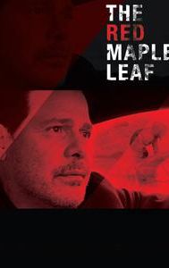 The Red Maple Leaf