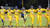 Savannah Bananas baseball team adds another night in Des Moines