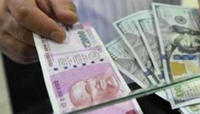 Government may review restrictions on FDI from China