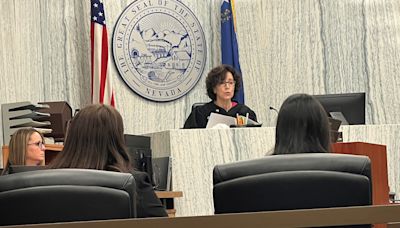 Washoe County primary: Judge hears arguments for, against hand recount in Paul White case