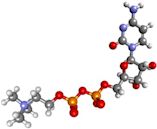 Citicoline