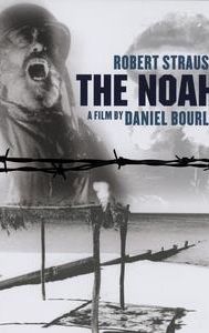 The Noah