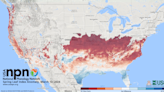 Warm winter could cause trouble before the start of April