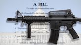 What’s in the Senate’s new gun control bill