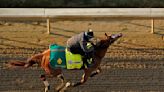 19 horses to tangle in wide-open 149th Kentucky Derby