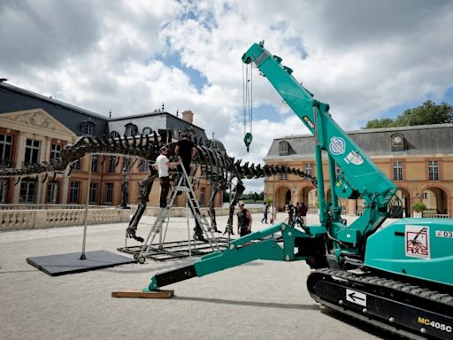 Se subastará en Francia el fósil del dinosaurio más grande jamás puesto a la venta