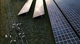 Germany drops plans for domestic solar industry subsidies