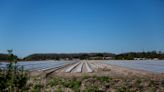 Developer, Conservancy reach settlement over rural village in eastern Collier County