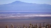 El sorprendente hallazgo bajo el árido suelo del desierto de Atacama - La Tercera