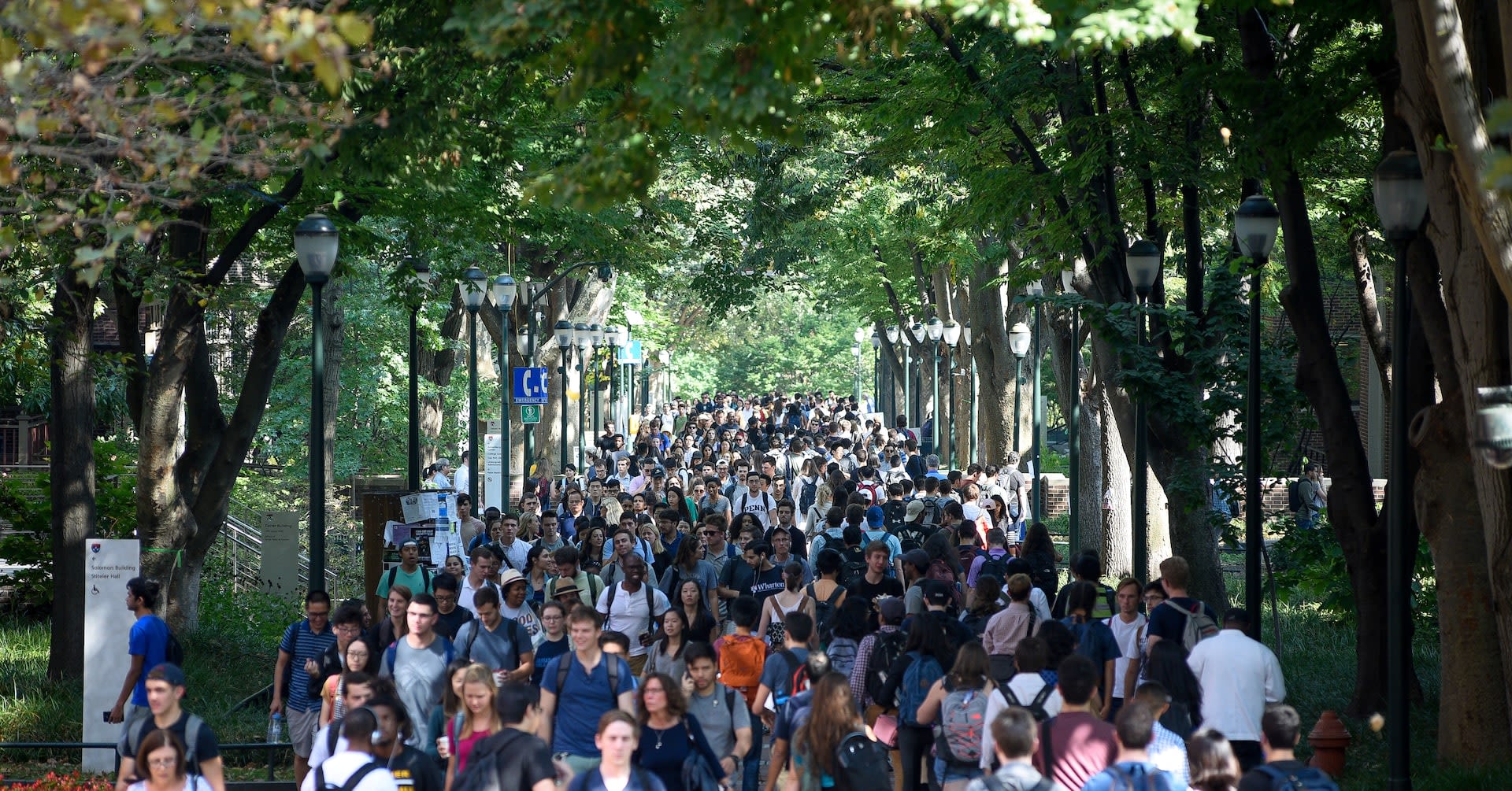 Minority enrollment holds steady at top U.S. law schools, early data indicates