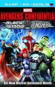 Avengers Confidential: Black Widow & Punisher