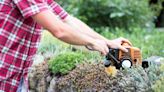 String Trimmer Won’t Start? Try This. - Consumer Reports