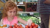 From alpaca products to micro brews, Southern Tier farmers markets offer more than produce