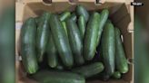 FDA investigating possible cucumber recall tie to larger Salmonella outbreaks in US: VERIFY with Stephanie Haney