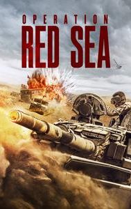 Operation Red Sea