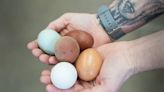 How Long Do Eggs Really Last? | HeraldNet.com