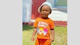 Body of missing Florida 2-year-old found in alligator's mouth