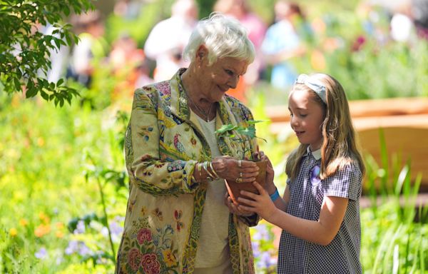 Dame Judi Dench places first Sycamore Gap seedling at Chelsea Flower Show