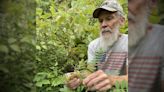 Plant not seen in Wisconsin since 1911 recently rediscovered