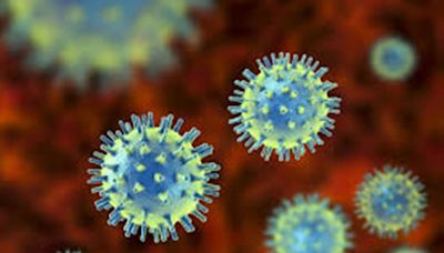 Pakistan Reports 13th Case Of Congo Virus | All You Need To Know About The Virus, Symptoms
