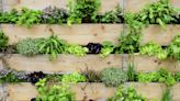 Vertical gardening: How to grow more in less space