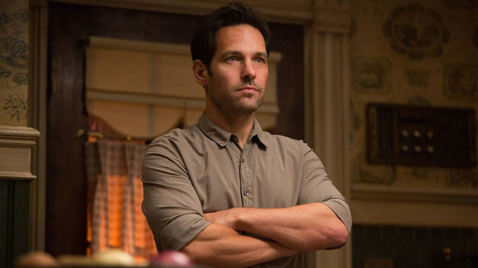 Playing Marvel's Ant-Man Came With A Major Restriction For Paul Rudd - SlashFilm